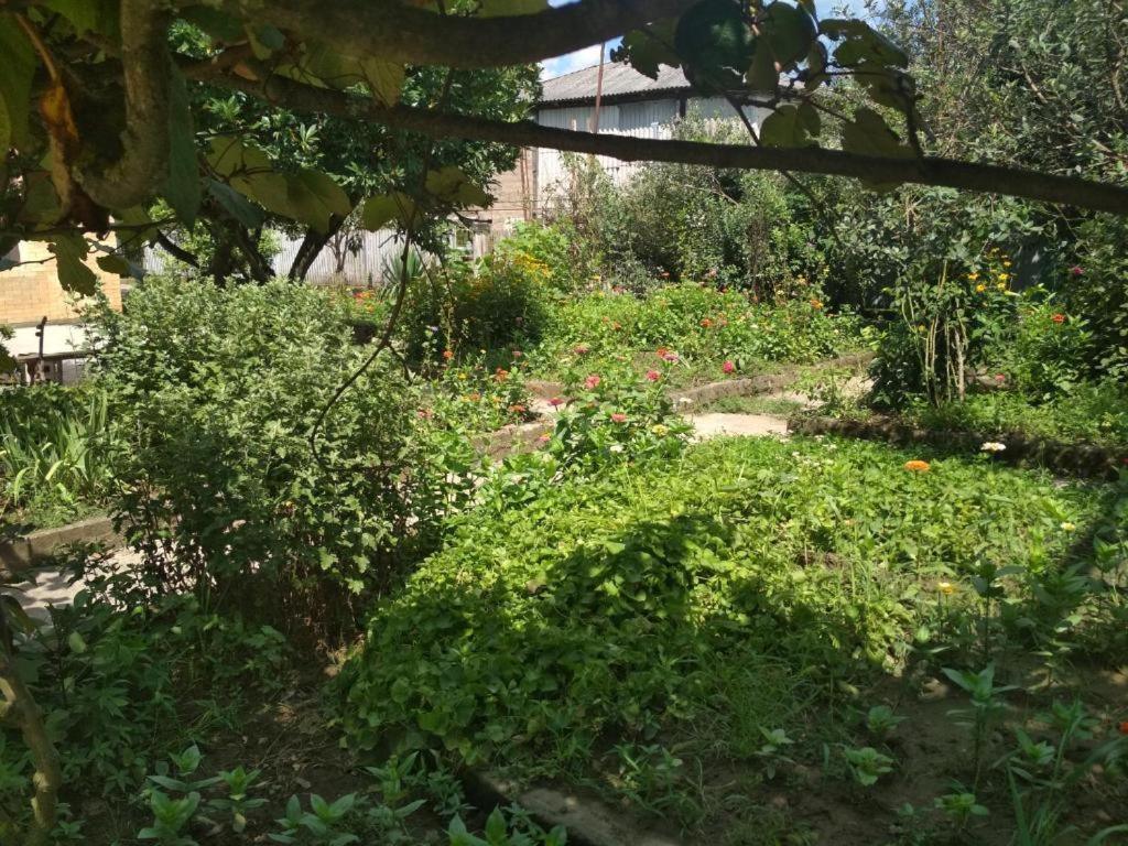 Hotel G I O Samtredia Zewnętrze zdjęcie